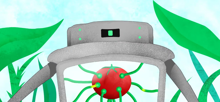 Roboter vs. Tomaten: „Be Unbarred, O Ye Gates Of Hell“ von Deerhoof