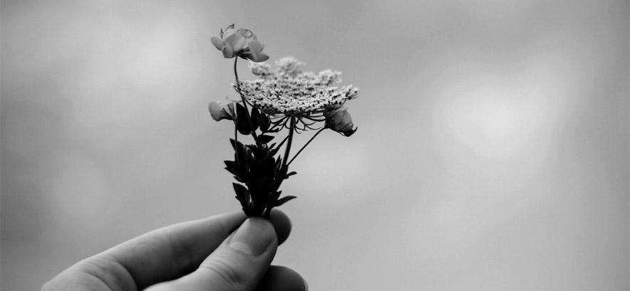 Schwarz-Weiß-Foto einer Hand, die ein kleines Blumensträußchen hält