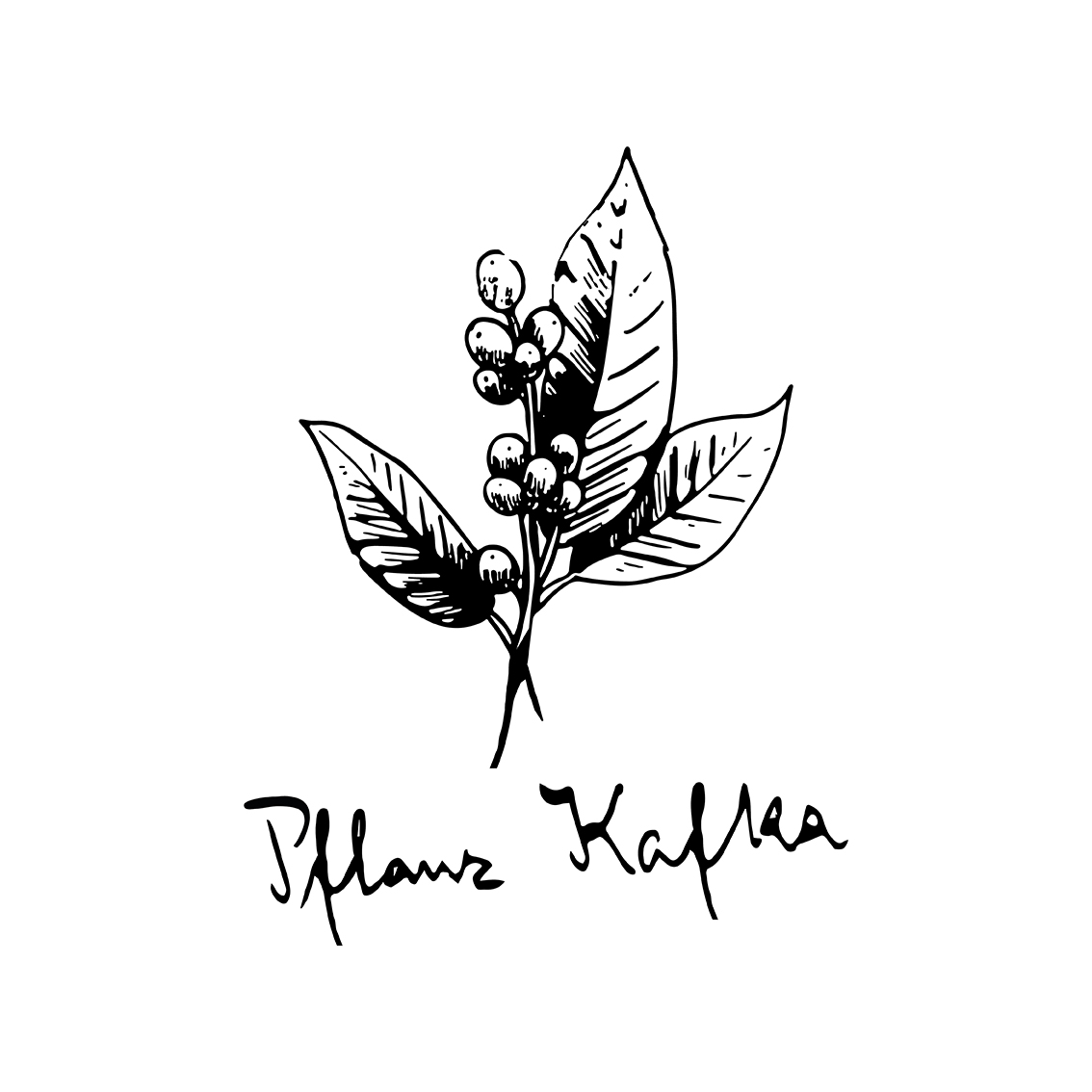 Logo Pflanz Kafka